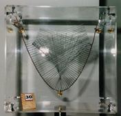 parabola