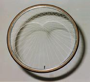 ruota