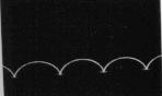 cicloide