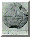 scheda1_1.gif
		(62905 byte)